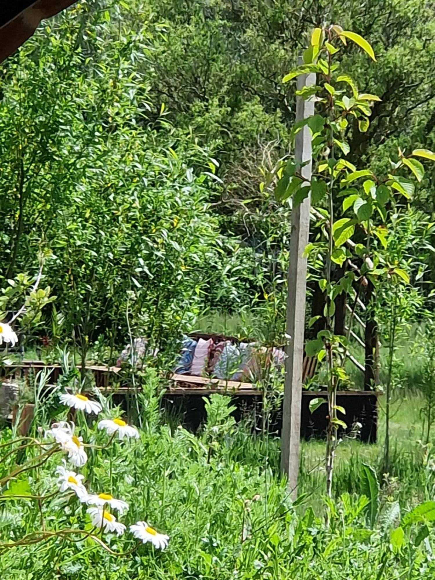 Cranfield Retreat & Glamping & Hobbit House Ξενοδοχείο Long Melford Εξωτερικό φωτογραφία