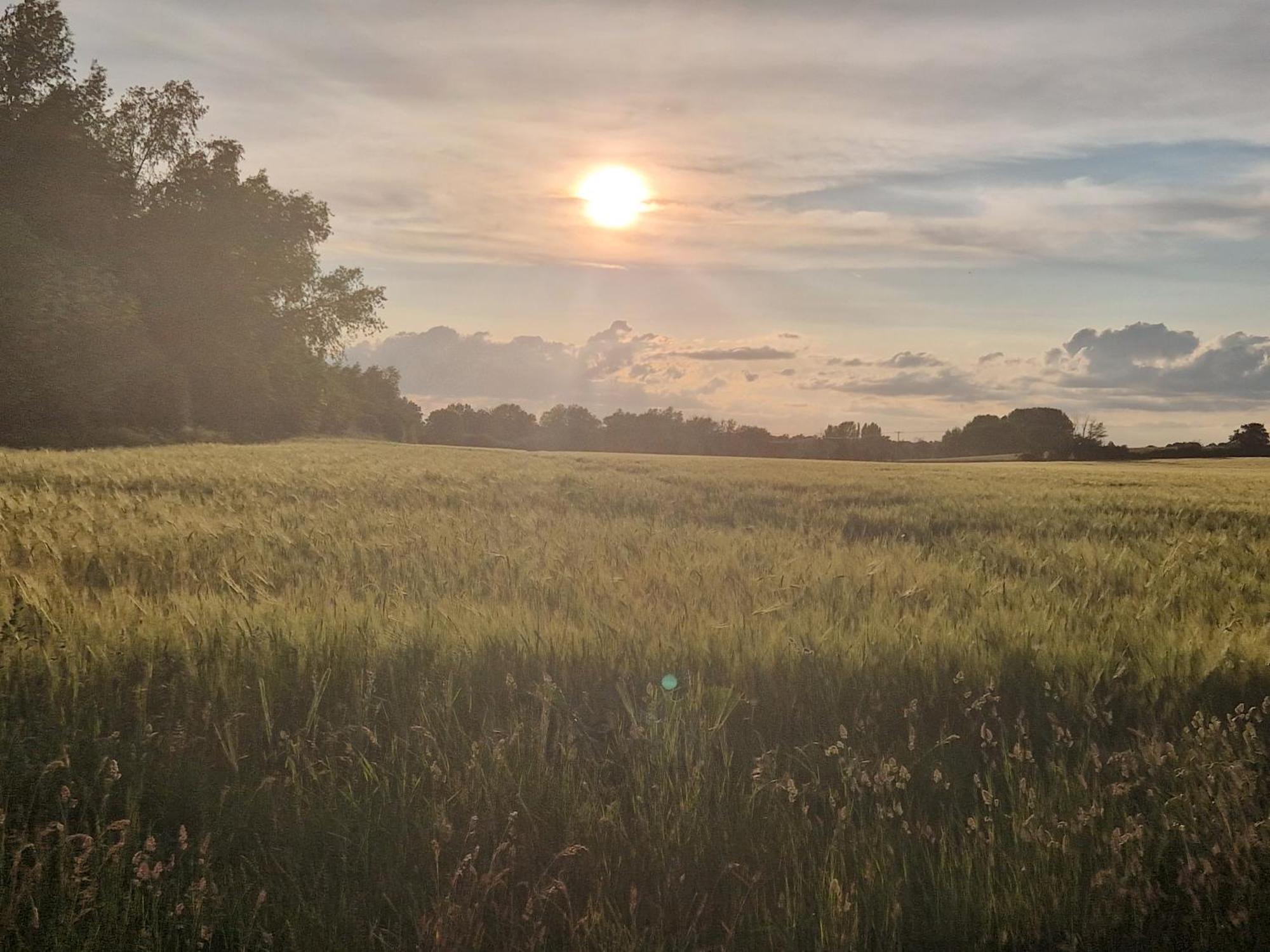 Cranfield Retreat & Glamping & Hobbit House Ξενοδοχείο Long Melford Εξωτερικό φωτογραφία